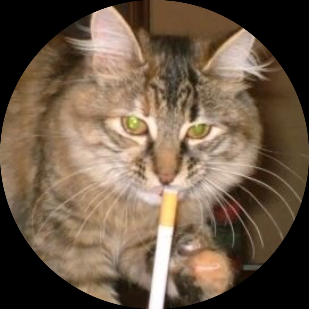 Meet your Posher, Leo